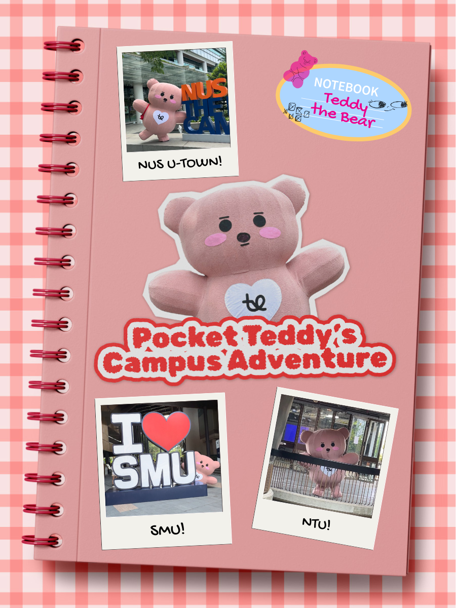 Pocket Teddy's Campus Adventure